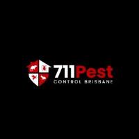 Flies Control Brisbane image 3